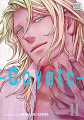 Coyote, Vol. 2 цена и информация | Фантастика, фэнтези | kaup24.ee