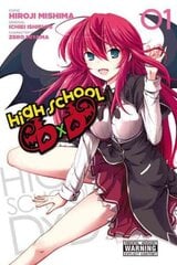 High School DxD, Vol. 1 hind ja info | Fantaasia, müstika | kaup24.ee