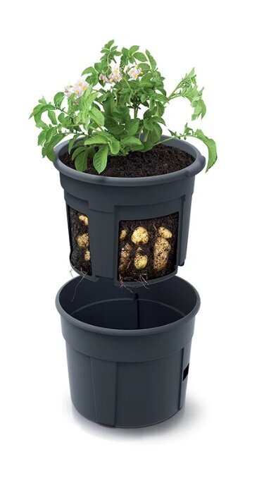 Pott kartulikasvatuseks 29.5 cm hind ja info | Dekoratiivsed lillepotid | kaup24.ee