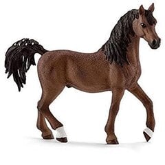 Фигурка лошади арабской породы лошади, Schleich цена и информация | Развивающий мелкую моторику - кинетический песок KeyCraft NV215 (80 г) детям от 3+ лет, бежевый | kaup24.ee