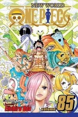 One Piece, Vol. 85: Liar цена и информация | Фантастика, фэнтези | kaup24.ee