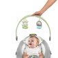 Lamamistool Bright Starts SmartBounce Automatic Bouncer™ цена и информация | Beebi lamamistoolid | kaup24.ee