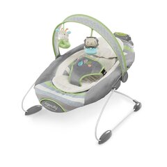 Детское кресло-качалка Bright Starts SmartBounce Automatic Bouncer™ цена и информация | Шезлонги и качели | kaup24.ee