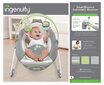 Lamamistool Bright Starts SmartBounce Automatic Bouncer™ цена и информация | Beebi lamamistoolid | kaup24.ee