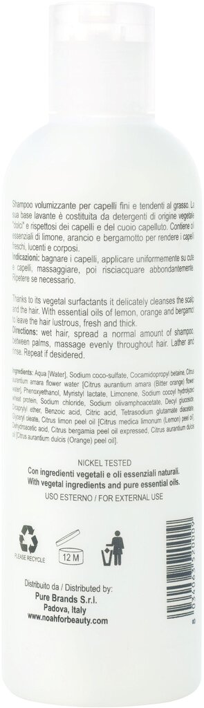 Šampoon rasustele juustele Noah 250 ml цена и информация | Šampoonid | kaup24.ee