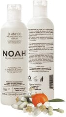 Šampoon rasustele juustele Noah 250 ml hind ja info | Šampoonid | kaup24.ee