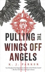 Pulling the Wings Off Angels цена и информация | Фантастика, фэнтези | kaup24.ee