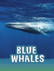 Blue Whales цена и информация | Книги для подростков и молодежи | kaup24.ee