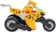 Paw Patrol Cat Pack Sõiduk rinkinys + Shade tegelaskuju hind ja info | Poiste mänguasjad | kaup24.ee