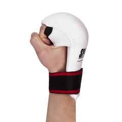 Боксерские перчатки inSPORTline Spartan Boxing цена и информация | Боевые искусства | kaup24.ee