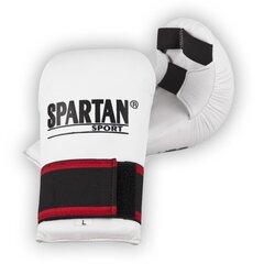 Боксерские перчатки inSPORTline Spartan Boxing цена и информация | Боевые искусства | kaup24.ee