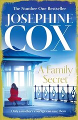 Family Secret: No. 1 Bestseller of Family Drama цена и информация | Фантастика, фэнтези | kaup24.ee