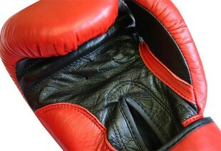 Боксерские перчатки inSPORTline SPARTAN цена и информация | Боевые искусства | kaup24.ee