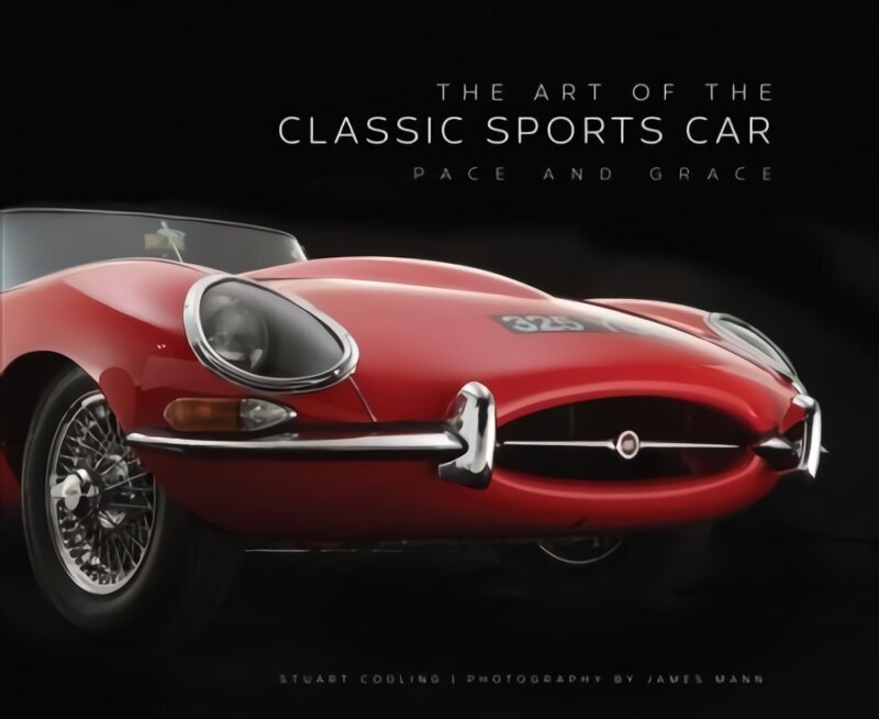 Art of the Classic Sports Car: Pace and Grace цена и информация | Reisiraamatud, reisijuhid | kaup24.ee