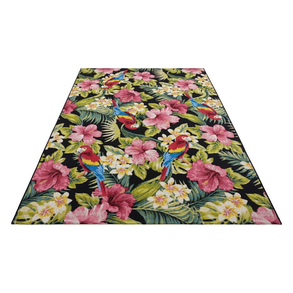 Hanse Home vaip Tropical Feeling 80x165 cm hind ja info | Vaibad | kaup24.ee