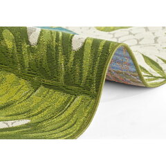 Hanse Home vaip Tropical Leaves 160x235 cm hind ja info | Vaibad | kaup24.ee