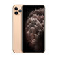 iPhone 11 Pro Max 64GB (Uuendatud, seisukord nagu uus) цена и информация | Telefonid | kaup24.ee