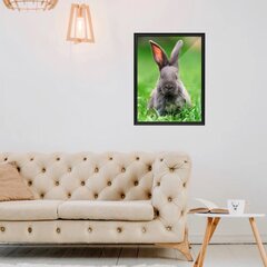 Настенный плакат с милым маленьким кроликом Постер с животными Декор интерьера для детской комнаты - 40 х 30 см цена и информация | Декоративные наклейки | kaup24.ee