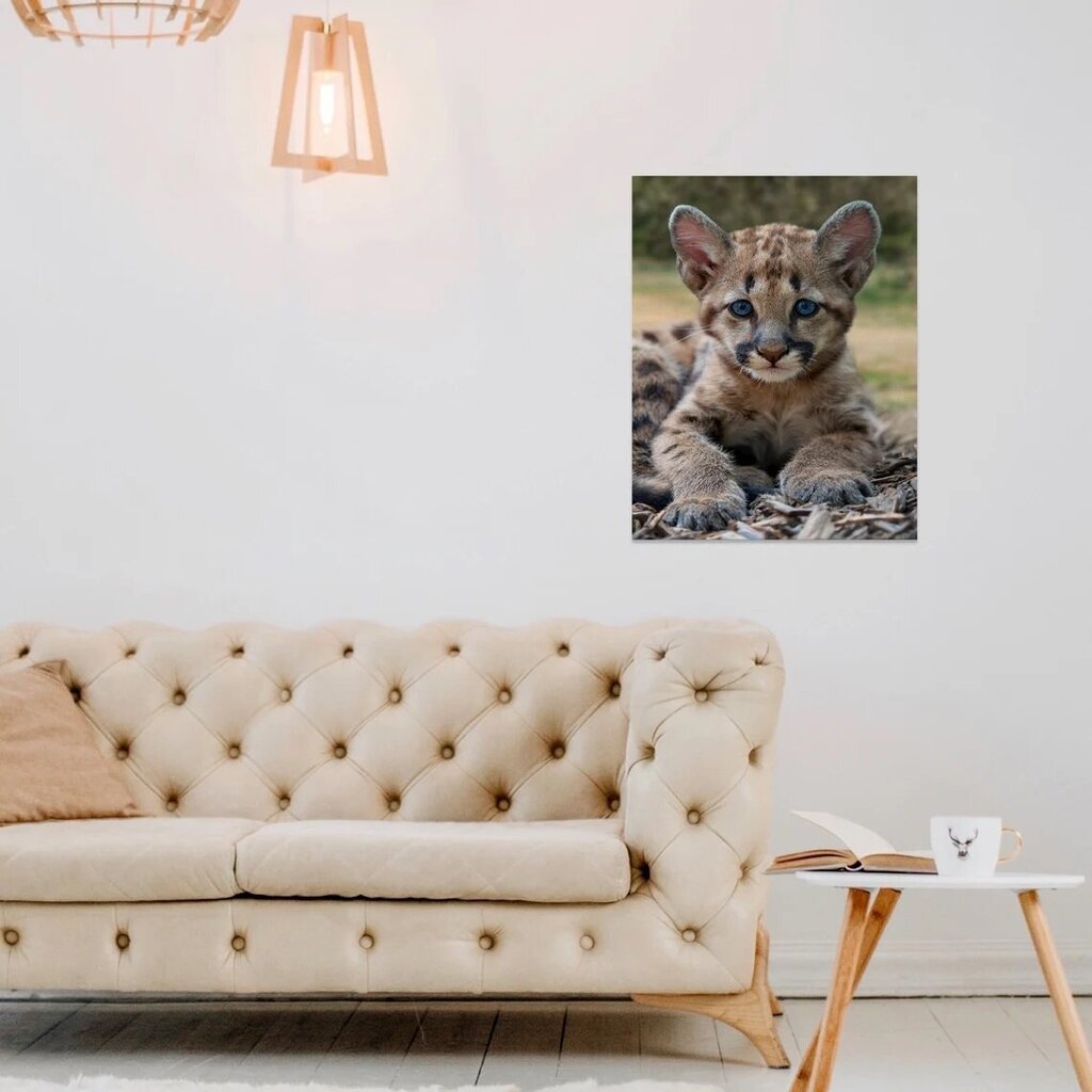 Prinditud Baby Leopard seinalõuend Loomade lõuendikunst Lastetoa sisekujundus – 40 x 30 cm hind ja info | Seinapildid | kaup24.ee