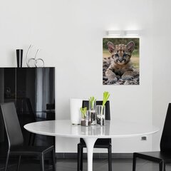 Prinditud Baby Leopard seinalõuend Loomade lõuendikunst Lastetoa sisekujundus – 40 x 30 cm цена и информация | Картины, живопись | kaup24.ee