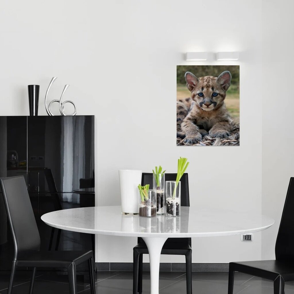 Prinditud Baby Leopard seinalõuend Loomade lõuendikunst Lastetoa sisekujundus – 40 x 30 cm цена и информация | Seinapildid | kaup24.ee