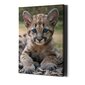 Prinditud Baby Leopard seinalõuend Loomade lõuendikunst Lastetoa sisekujundus – 40 x 30 cm hind ja info | Seinapildid | kaup24.ee