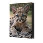 Prinditud Baby Leopard seinalõuend Loomade lõuendikunst Lastetoa sisekujundus – 40 x 30 cm цена и информация | Seinapildid | kaup24.ee