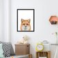 Little Fox Seinaplakat, Loomade plakat Lastetoa sisekujundus – 40 x 27 cm цена и информация | Seinapildid | kaup24.ee