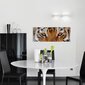 Prinditud lõuendi seinakunst Metsiku Siberi Tiigri sisekujundus magamistoa, elutoa ja kontori jaoks - 78 x 30 cm цена и информация | Seinapildid | kaup24.ee