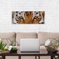 Prinditud lõuendi seinakunst Metsiku Siberi Tiigri sisekujundus magamistoa, elutoa ja kontori jaoks - 78 x 30 cm цена и информация | Seinapildid | kaup24.ee