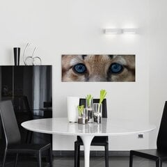 Seinale trükitud lõuend leopard siniste silmadega loomalõuend sisekujundus - 78 x 30 cm hind ja info | Seinakleebised | kaup24.ee