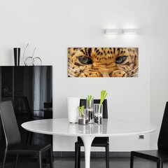 Seinale trükitud lõuend Metsik Leopard Eyes Loomade lõuend sisekujundus – 78 x 30 cm hind ja info | Seinakleebised | kaup24.ee