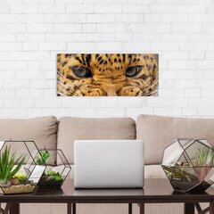 Seinale trükitud lõuend Metsik Leopard Eyes Loomade lõuend sisekujundus – 78 x 30 cm hind ja info | Seinakleebised | kaup24.ee