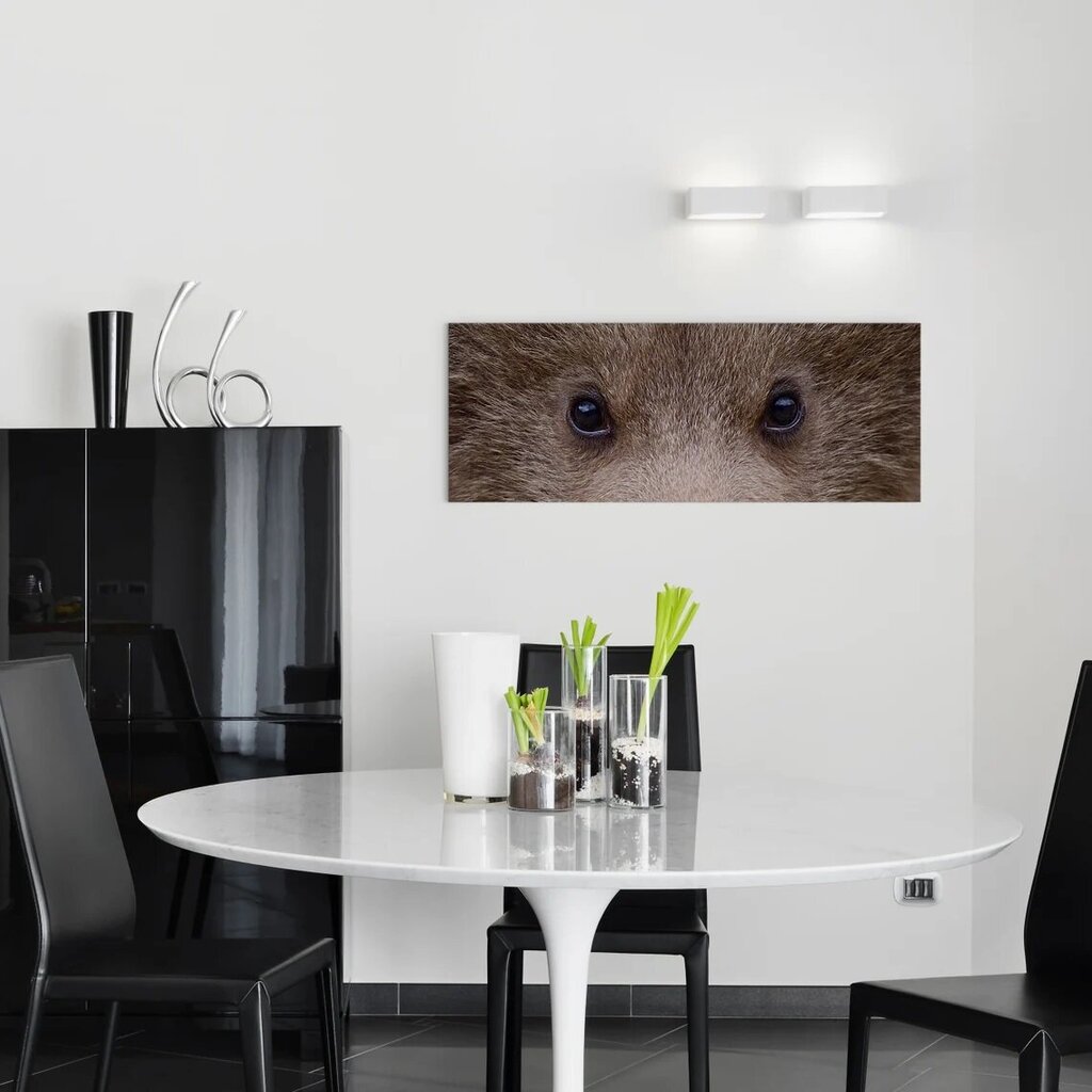 Seinatrükk Lõuend Black Bear Eyes Sisekujundus - 78 x 30 cm цена и информация | Seinapildid | kaup24.ee