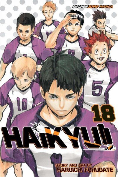 Haikyu!!, Vol. 18: Hope is a Waxing Moon, Volume 14 hind ja info | Fantaasia, müstika | kaup24.ee