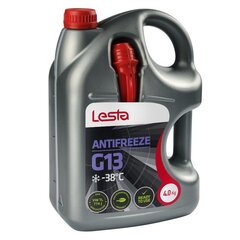 Jahutusvedelik Lesta Antifreeze G13, 4 kg цена и информация | Очищающие и охлаждающие жидкости | kaup24.ee