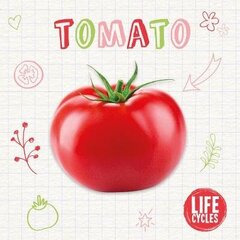 Tomato цена и информация | Книги для подростков и молодежи | kaup24.ee