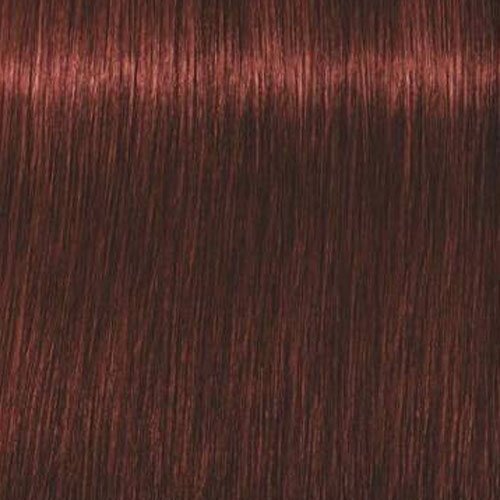 Plaukų dažai Schwarzkopf Professional Igora Royal Absolutes 60 ml, 5-80 Light Brown Red Nature hind ja info | Juuksevärvid | kaup24.ee