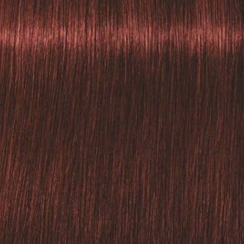 Plaukų dažai Schwarzkopf Professional Igora Royal Absolutes 60 ml, 5-80 Light Brown Red Nature hind ja info | Juuksevärvid | kaup24.ee