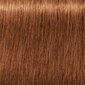 Juuksevärv Schwarzkopf Professional Igora Royal Absolutes 60 ml, 7-710 Medium Blonde Copper hind ja info | Juuksevärvid | kaup24.ee