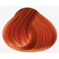 Juuksevärv Schwarzkopf Igora Royal 60 ml, 0-77 Intensive Copper hind ja info | Juuksevärvid | kaup24.ee