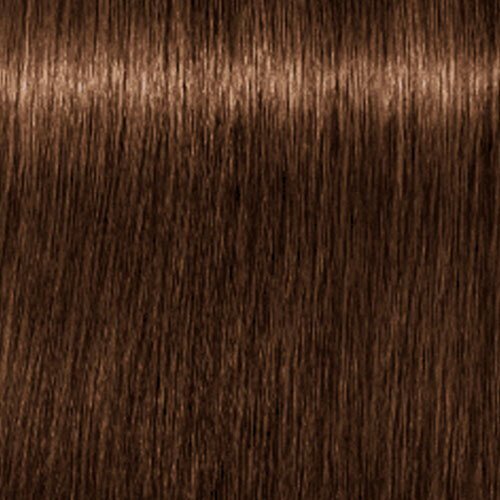 Juuksevärv Schwarzkopf Professional Igora Royal Absolutes 60 ml, 6-460 Dark Blonde Beige Chocolate Natural цена и информация | Juuksevärvid | kaup24.ee