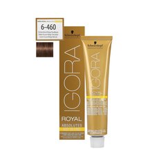 Juuksevärv Schwarzkopf Professional Igora Royal Absolutes 60 ml, 6-460 Dark Blonde Beige Chocolate Natural hind ja info | Juuksevärvid | kaup24.ee