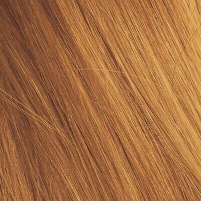 Juuksevärv Schwarzkopf Professional Igora Royal 60 ml, 9-55 Very Light Golden Blonde цена и информация | Juuksevärvid | kaup24.ee