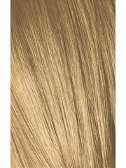 Juuksevärv Schwarzkopf Professional Igora Royal 60 ml, 9-55 Very Light Golden Blonde цена и информация | Краска для волос | kaup24.ee