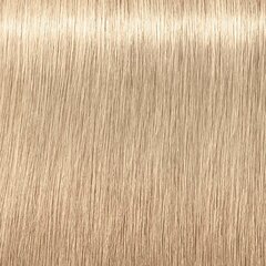 Краска для волос Schwarzkopf Professional Igora Royal Highlifts 60 мл, 12-1 Special Blonde Cendre цена и информация | Краска для волос | kaup24.ee