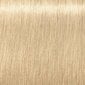 Plaukų dažai Schwarzkopf Professional Igora Royal Highlifts 60 ml, 12-0 Special Blonde Natural hind ja info | Juuksevärvid | kaup24.ee