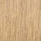 Juuksevärv Schwarzkopf Professional Igora Royal Highlifts 60 ml, 10-4 Ultra Blonde Beige цена и информация | Juuksevärvid | kaup24.ee