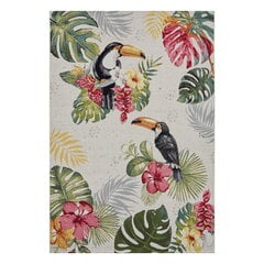 Hanse Home vaip Tropical Dream Creme 80x165 cm цена и информация | Ковры | kaup24.ee