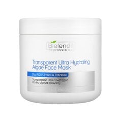 Маска для лица Bielenda Professional Transperent Ultra Hydrating Algae Face Mask, 190 г цена и информация | Маски для лица, патчи для глаз | kaup24.ee